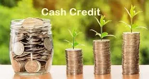 Cash credit coins